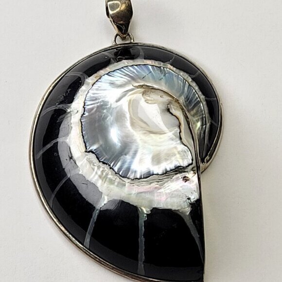 Nautilus Shell Pendant with 925 Sterling Silver- NEW! - Picture 2 of 14